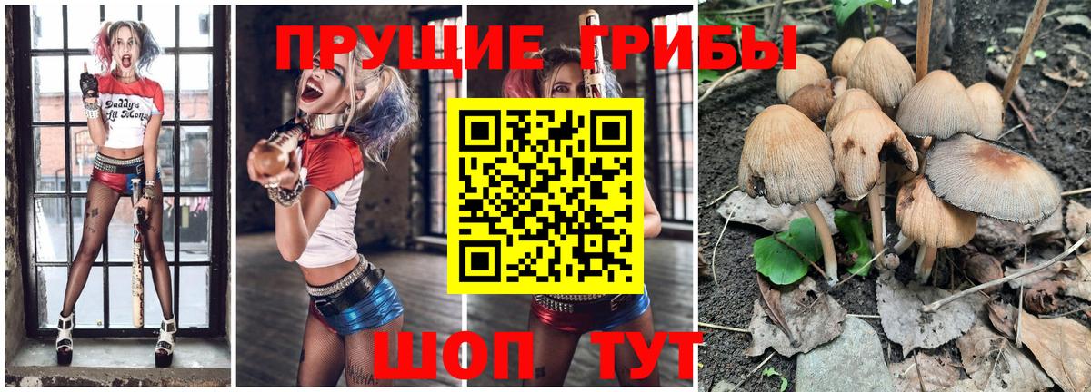 Галлюциногенные грибы Magic Shrooms  Вход с VPN  Клинцы 
