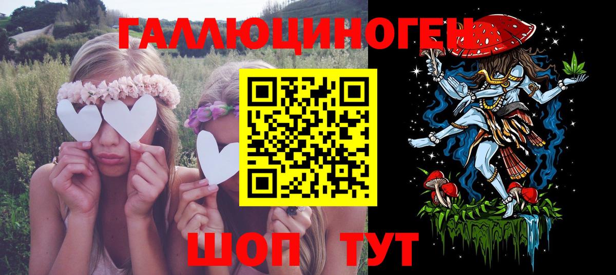 Псилоцибиновые грибы Cubensis Клинцы